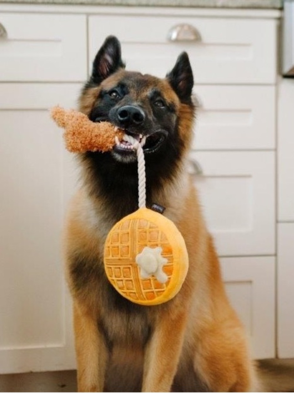 P.L.A.Y. Chicken & Woofles Dog Toy NWT